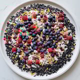 Singvogel Samen Beeren Platte